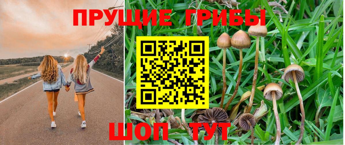 A-PVP СОЛЬ кристаллы  Бахчисарай  COCAIN  Вход с VPN  МДМА  Меф МЯУ МЯУ кристаллы  Канабис  Метамфетамин 