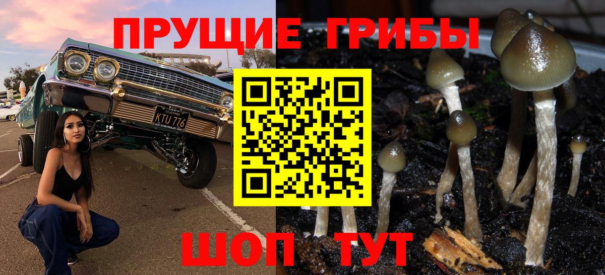 Галлюциногенные грибы Psilocybe Бахчисарай